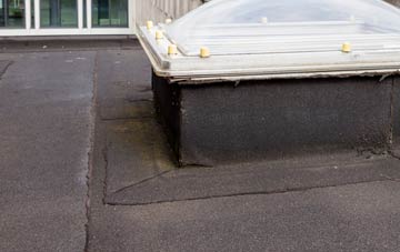 disadvantages of North Curry flat roofs