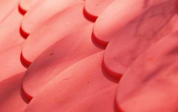 North Curry plastic roof costs